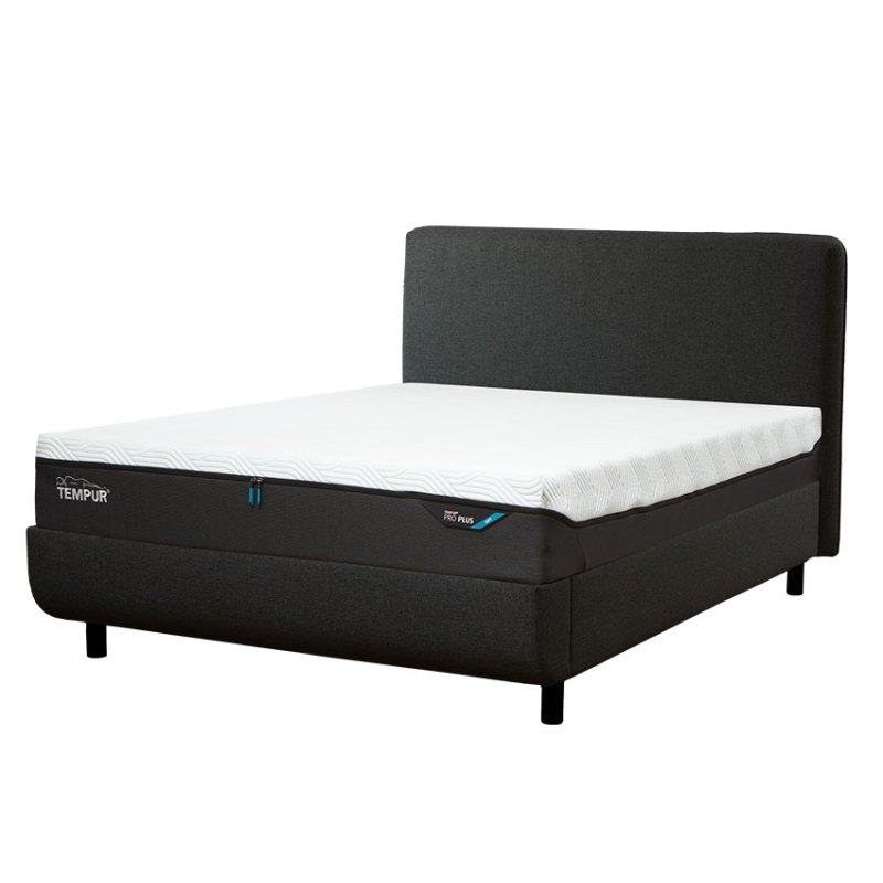 5'0 King Bedframe 5'0 King Bedframe