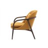 Apex Mid Century Modern Armchair - Ochre Apex Mid Century Modern Armchair - Ochre